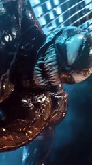 #Arya #Action #adventure #South #superhitMovie #bestscene