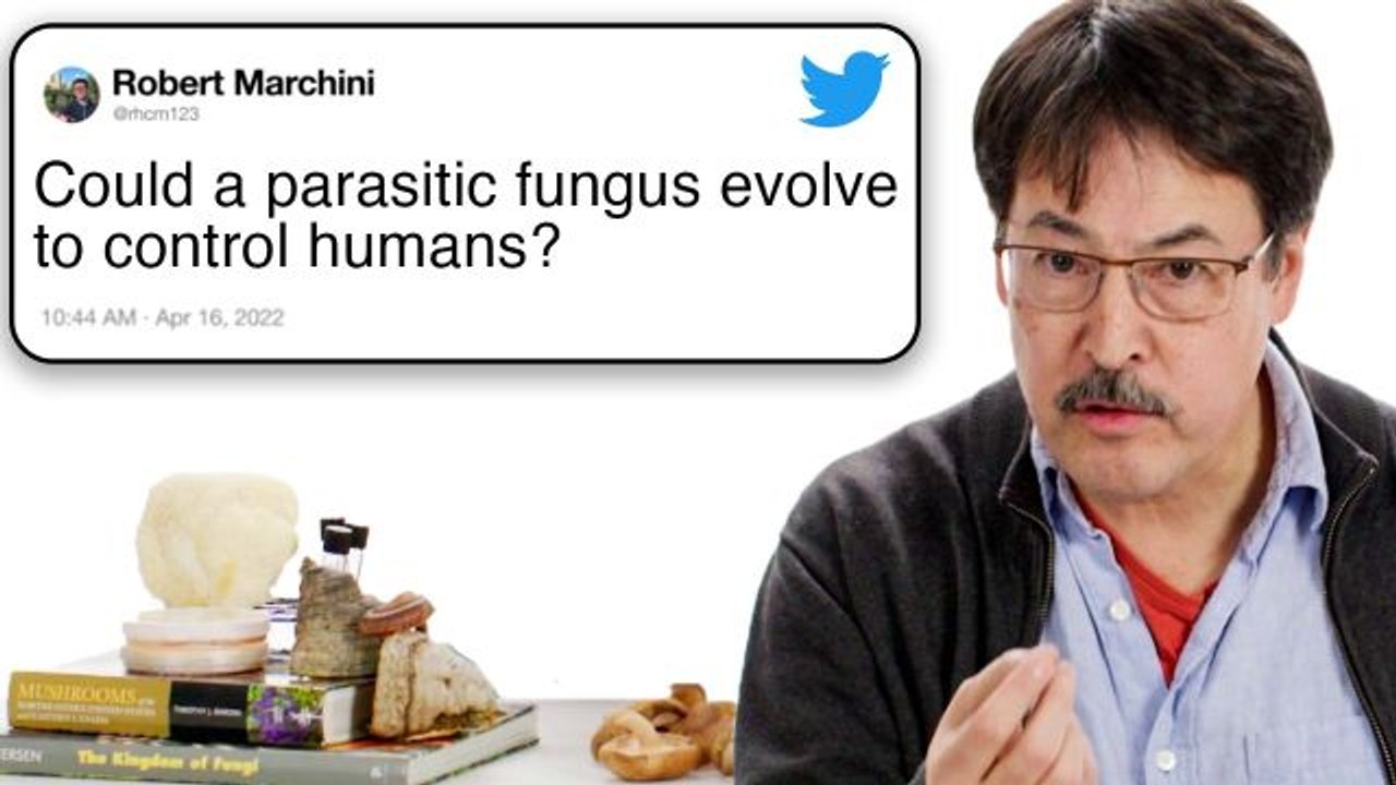 Mycologist Answers Mushroom Questions From Twitter