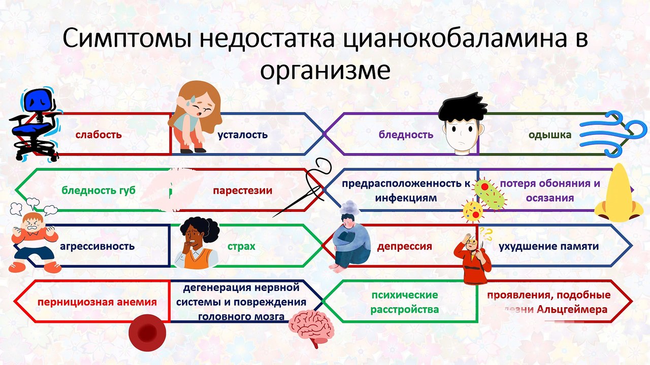 Витамин В12 (цианокобаламин): функции, гиповитаминоз, норма и продукты питания
