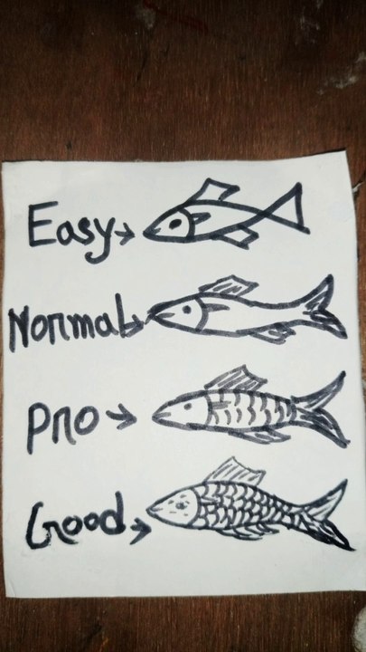 Fish drawing Tutorial