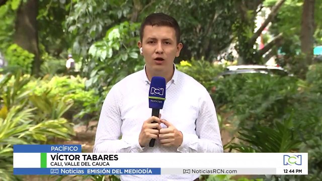 No pasó nada: dejan libres a barras de América que atacaron con machete a hincha del Cali