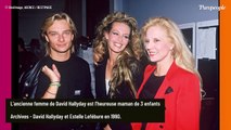 Estelle Lefébure et David Hallyday : magnifique photo de leur petit-fils, ange blond comme sa maman Ilona