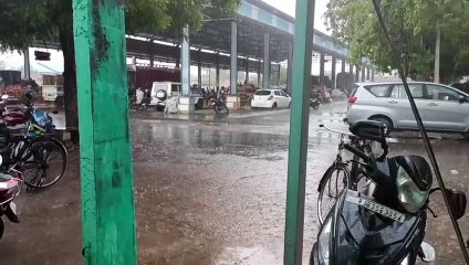 देखें वीडियो.... आधा घंटा झमाझम बारिश
