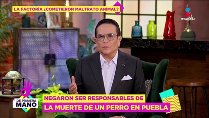 La Factoría NIEGA ser responsable de la muerte de un perro en Puebla