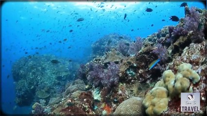 Most 10 Beautiful Islands in Thailand - Travel & TOURISIM Video