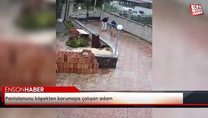 Pantolonunu köpekten korumaya çalışan adam