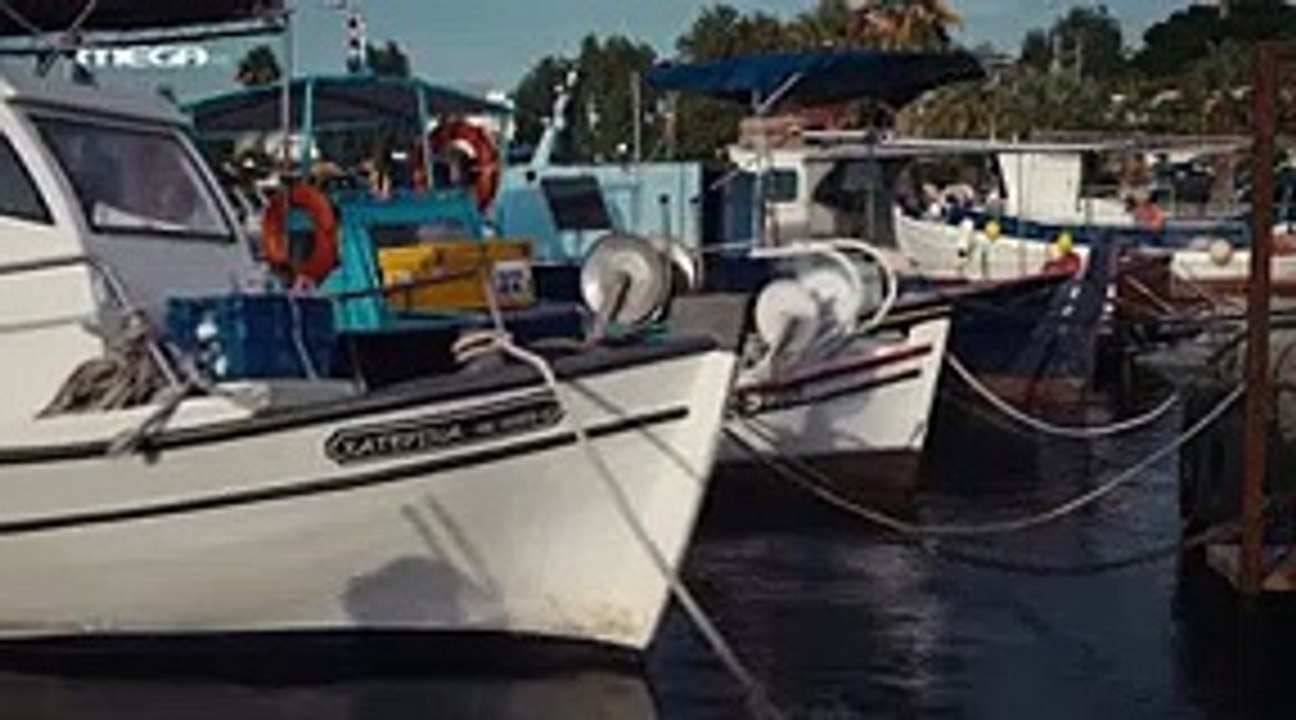 Η Γη της Ελιάς Επεισόδιο 162 part 1/1 part 1/1