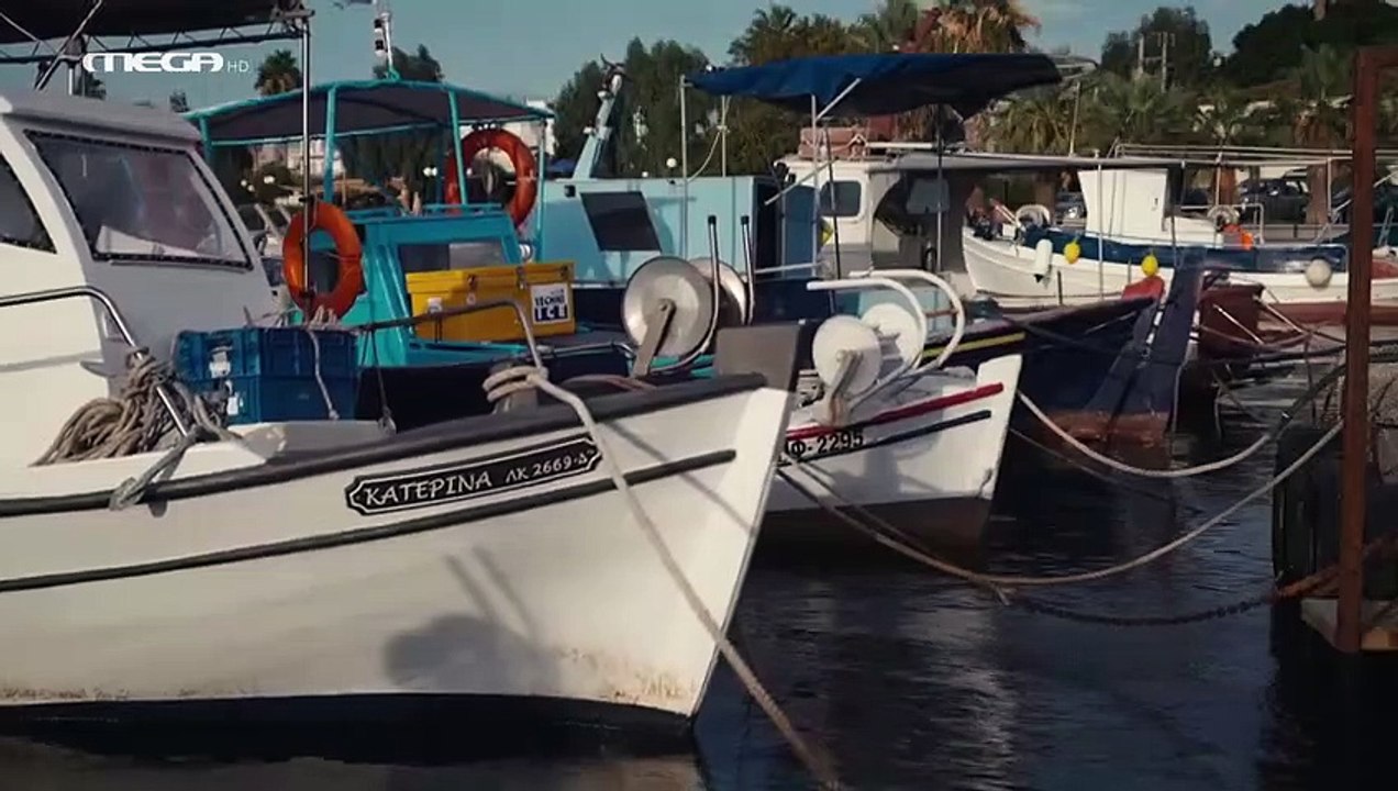 Η Γη της Ελιάς- Επεισόδιο 162 part 1/1