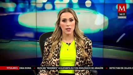 Asesinan a madre buscadora integrante del colectivo ‘Una Promesa Por Cumplir’ en Celaya