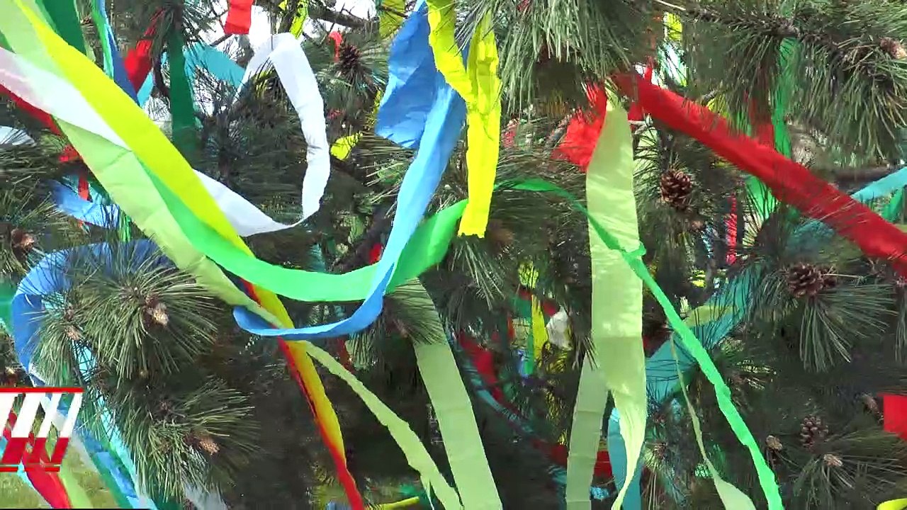 Strasshof an der Nordbahn Maibaum Fest 2023