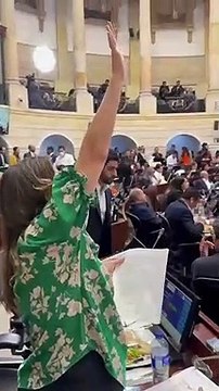 Paloma Valencia denuncia que en la plenaria no dejan votar artículos por separado
