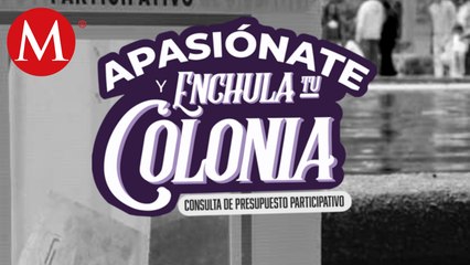 ¿Qué debemos saber sobre las votaciones para el presupuesto participativo en CdMx?