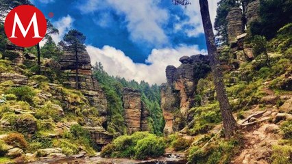 Comuneros de Jilotzingo ganan litigio para cancelar proyecto "Bosque Diamante" | Milenio Hábitat