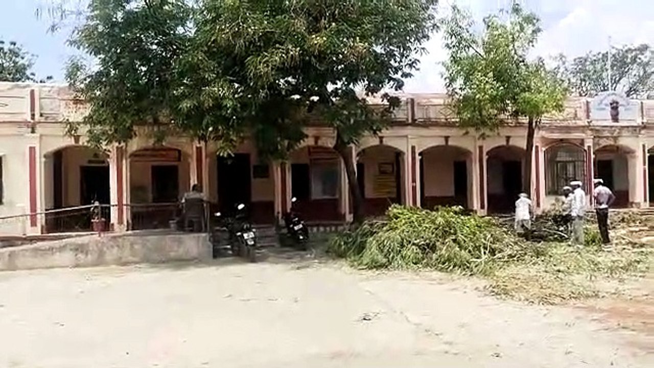 सरकारी विद्यालय में काटे पेड़, सूचना पर पहुंचे अधिकारी, विद्यालय प्रशासन के खिलाफ कार्रवाई
