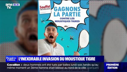 L'étonnante campagne de la mairie de Souffelweyersheim pour lutter contre le moustique tigre