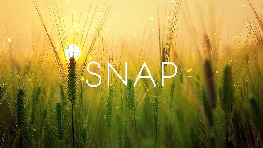 Snap Rosa linn slow remix