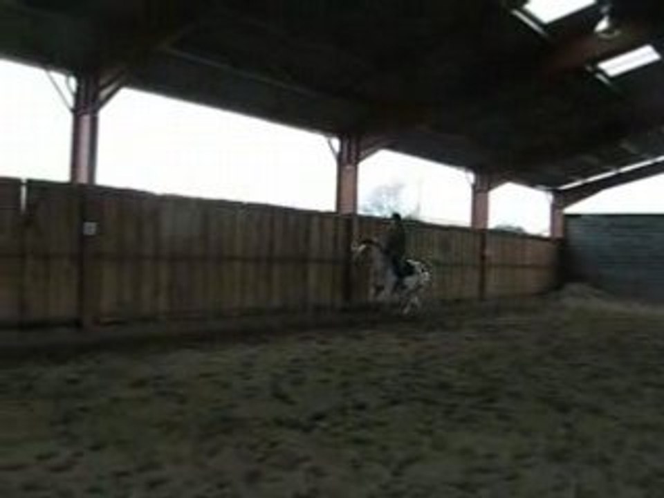 Saut Monky et moi
