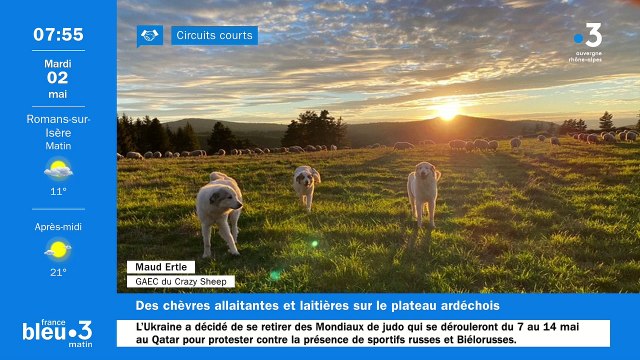 À Lanarce, le Gaec Crazy sheep nous rend fou de ses fromages de brebis, yaourts, crèmes desserts et viandes