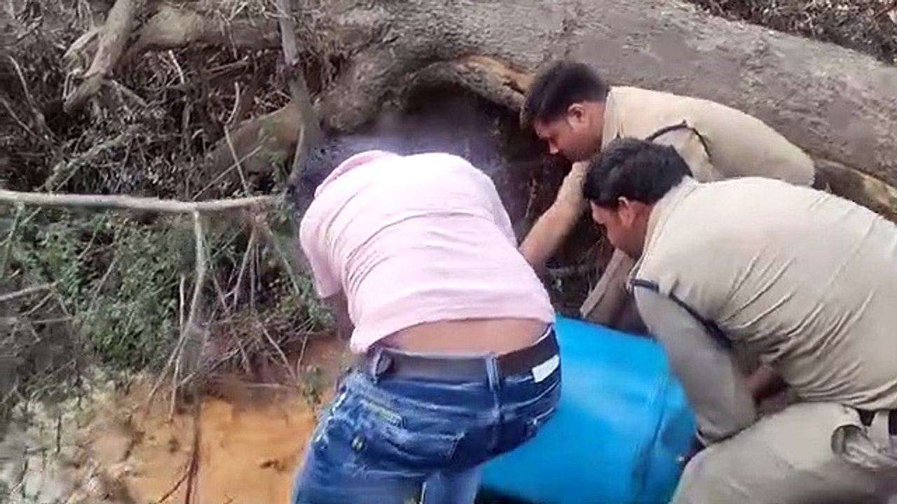 41 हजार रुपए कीमत की अवैध शराब बरामद