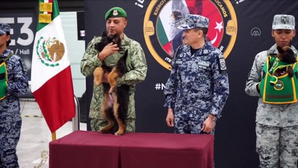 Arama kurtarma köpeği Proteo anısına Türkiye'den Meksika'ya anlamlı jest