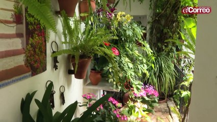 La Fiesta de los patios de Córdoba vuelve un año más