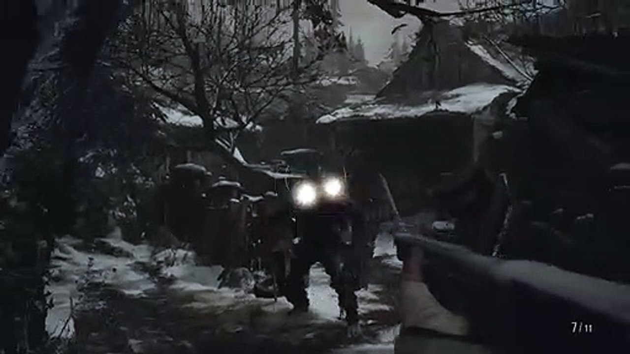 Shotgun shots