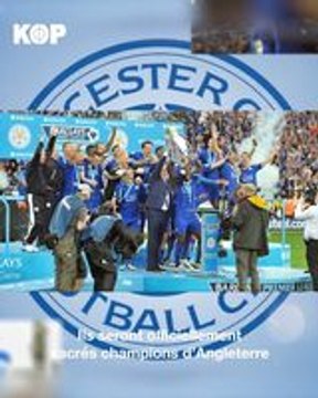 Il y a 7 ans jour pour jour, Leicester était sacré champion de Premier League. L'un des plus grands exploits de l'Histoire du football. Retour sur le parcours d'un des artisans de cet exploit, Riyad Marhez