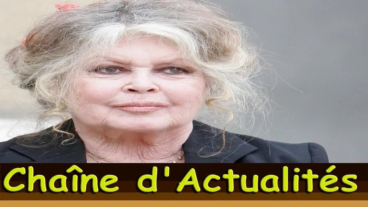 Brigitte Bardot affaiblie : "aux îles Caïmans avec Palmade", le SMS très lunaire de son mari Bernard