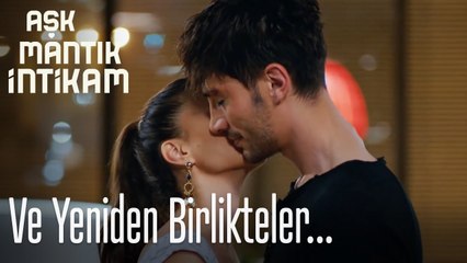 Ve yeniden birlikteler  - Aşk Mantık İntikam