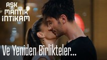 Ve yeniden birlikteler  - Aşk Mantık İntikam