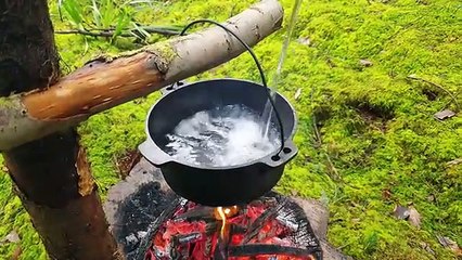 Lemon Crunchy Chicken cooked in the middle of the forest. ASMR cooking. NO TALK