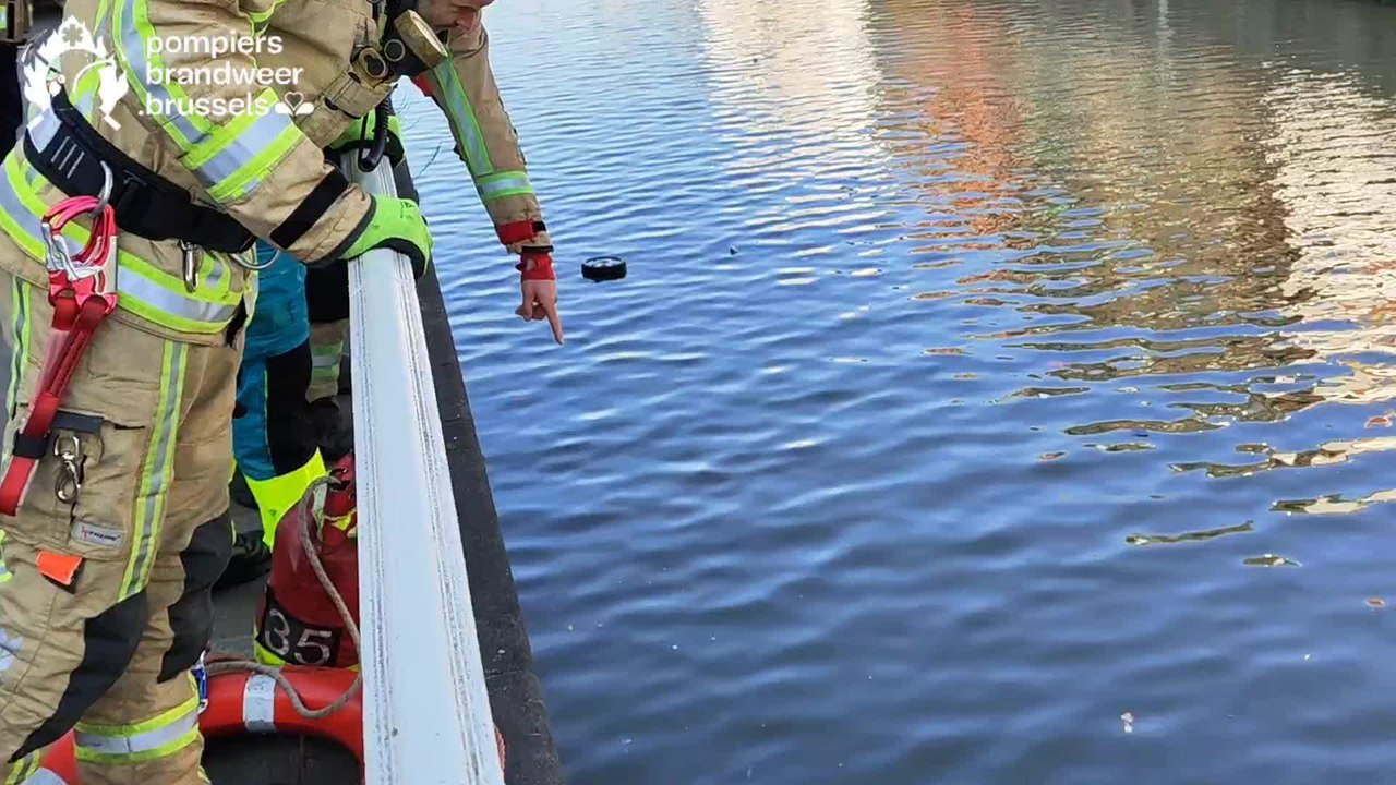 Une voiture repêchée par les pompiers dans le canal à Molenbeek-Saint-Jean