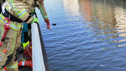 Une voiture repêchée par les pompiers dans le canal à Molenbeek-Saint-Jean