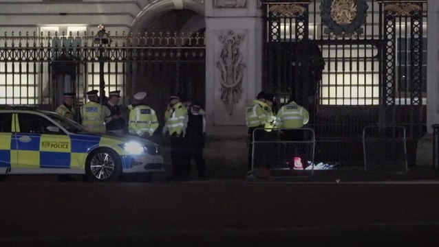 Man arrested outside Buckingham Palace after ‘shotgun cartridges thrown into grounds’