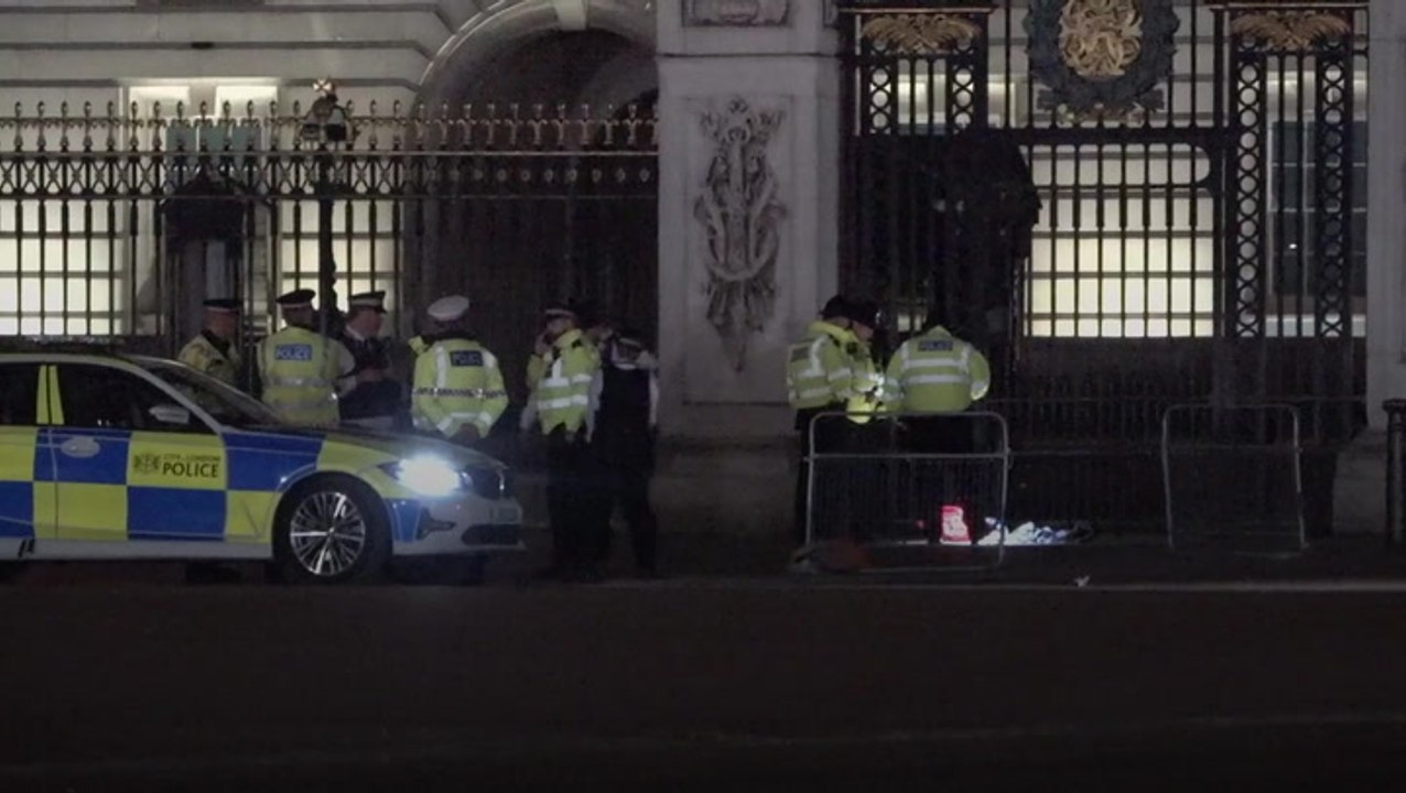 Man arrested outside Buckingham Palace after ‘shotgun cartridges thrown into grounds’