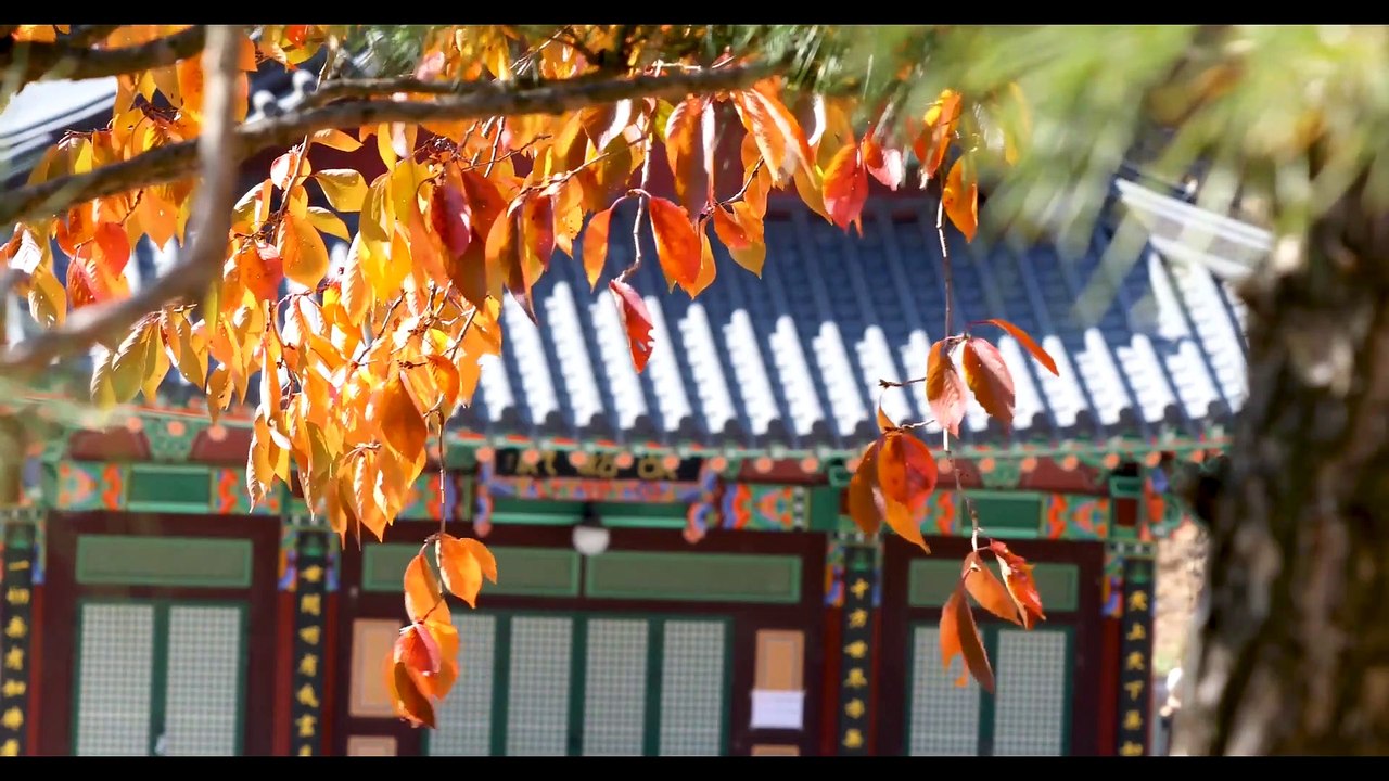 Zen Meditation: Techniques, Benefits, and How to Practice Daily for a Clearer Mind and Improved Well-being