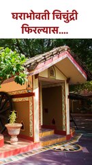 घराभोवती चिचुंद्री फिरल्यास.... #shorts SG5