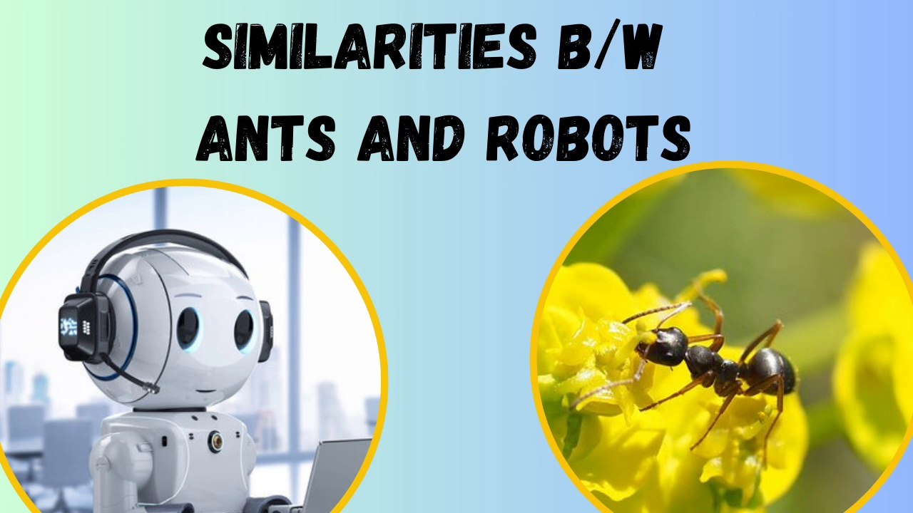 The Similarities Between Ants and Robots