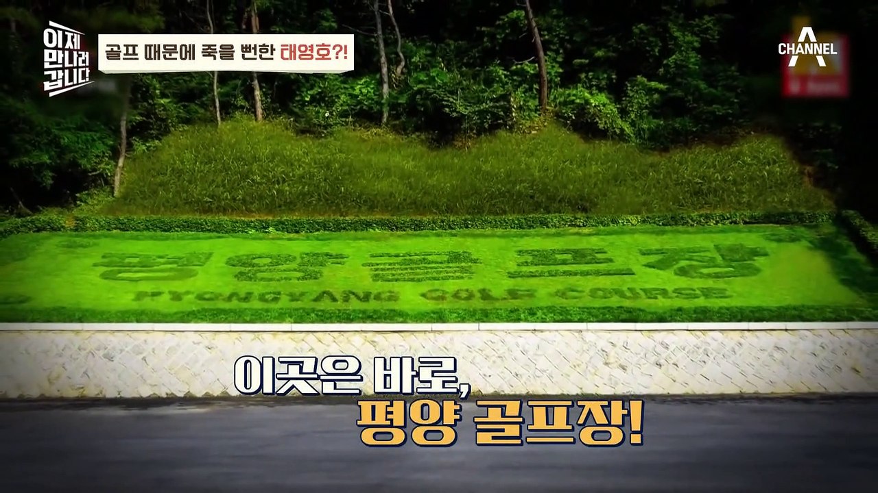 [#이만갑모아보기] 태영호가 '이것' 때문에 죽을 뻔했다?! 영원한 비밀은 없는 태영호 북한 썰 #북한 #태영호