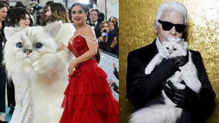 Met Gala 2023 : le merveilleux hommage des stars à « Poupette » le chat de Karl Lagarfeld