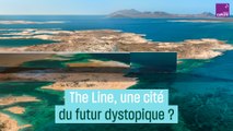 The Line, une cité du futur dystopique ?