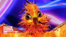 Mask Singer : un enquêteur absent ce vendredi, la raison dévoilée