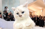 Jared Leto: Er ging zur Met Gala als Lagerfelds Katze