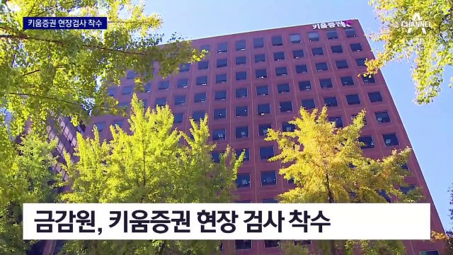 금감원, 키움증권 검사 착수…‘600억 매도’ 김익래 집중 조사
