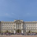 Man arrested outside Buckingham Palace after throwing suspected shotgun cartridges into the grounds of the royal residence