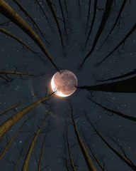 Mesmerising view of moon