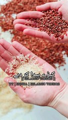 Allah Ki Kon Kon Si Nematon Ko Jhooth Laoge