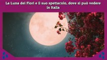 La Luna dei Fiori e il suo spettacolo, dove si può vedere in Italia