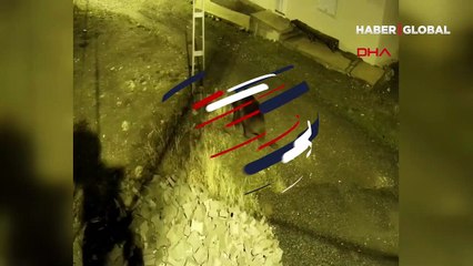 Sivas'ta güvenlik kamerasıyla görüntülendi... Köy merkezinde böyle dolaştı