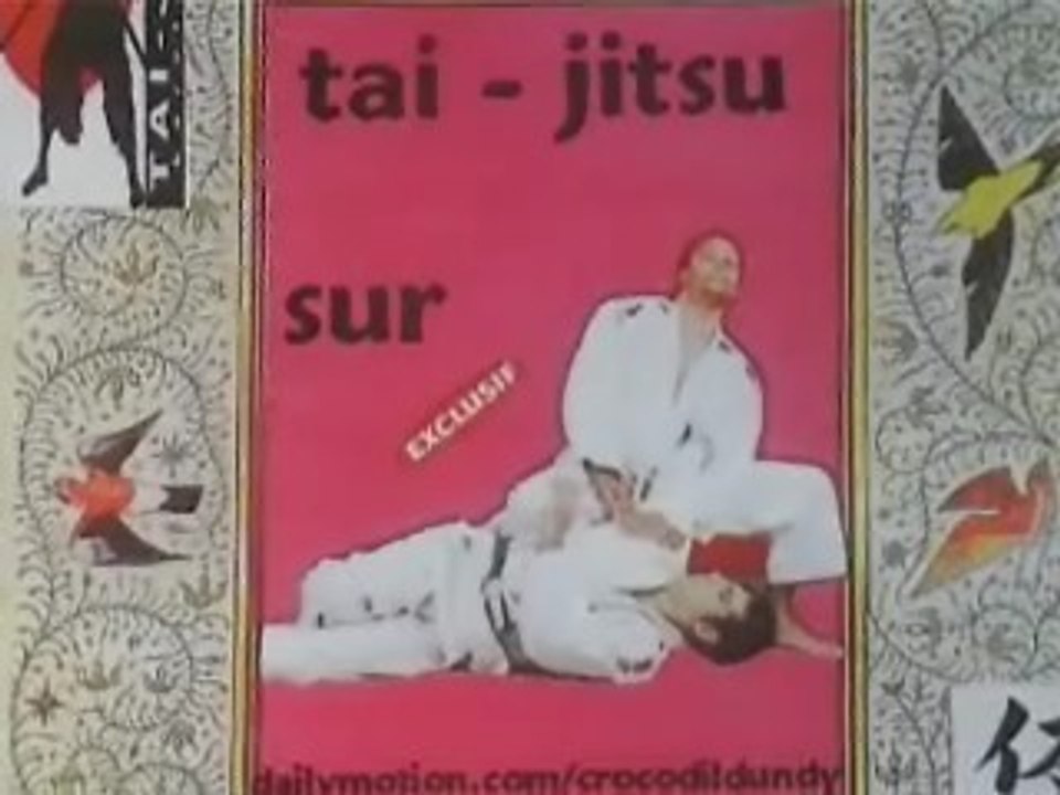 silvain Champion coupe de france  2008 tai jitsu